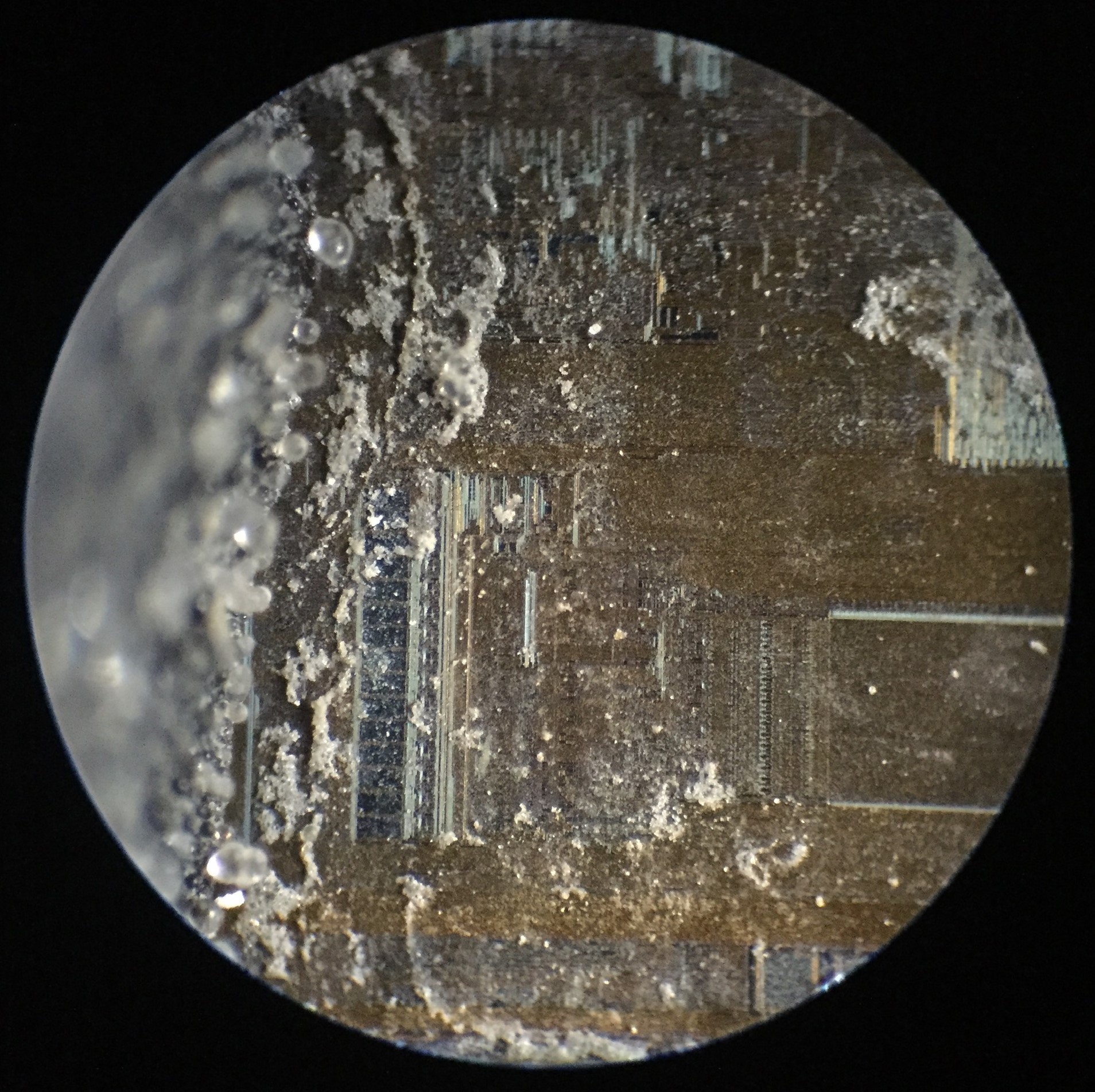 Dry residue over the silicon die under higher magnification