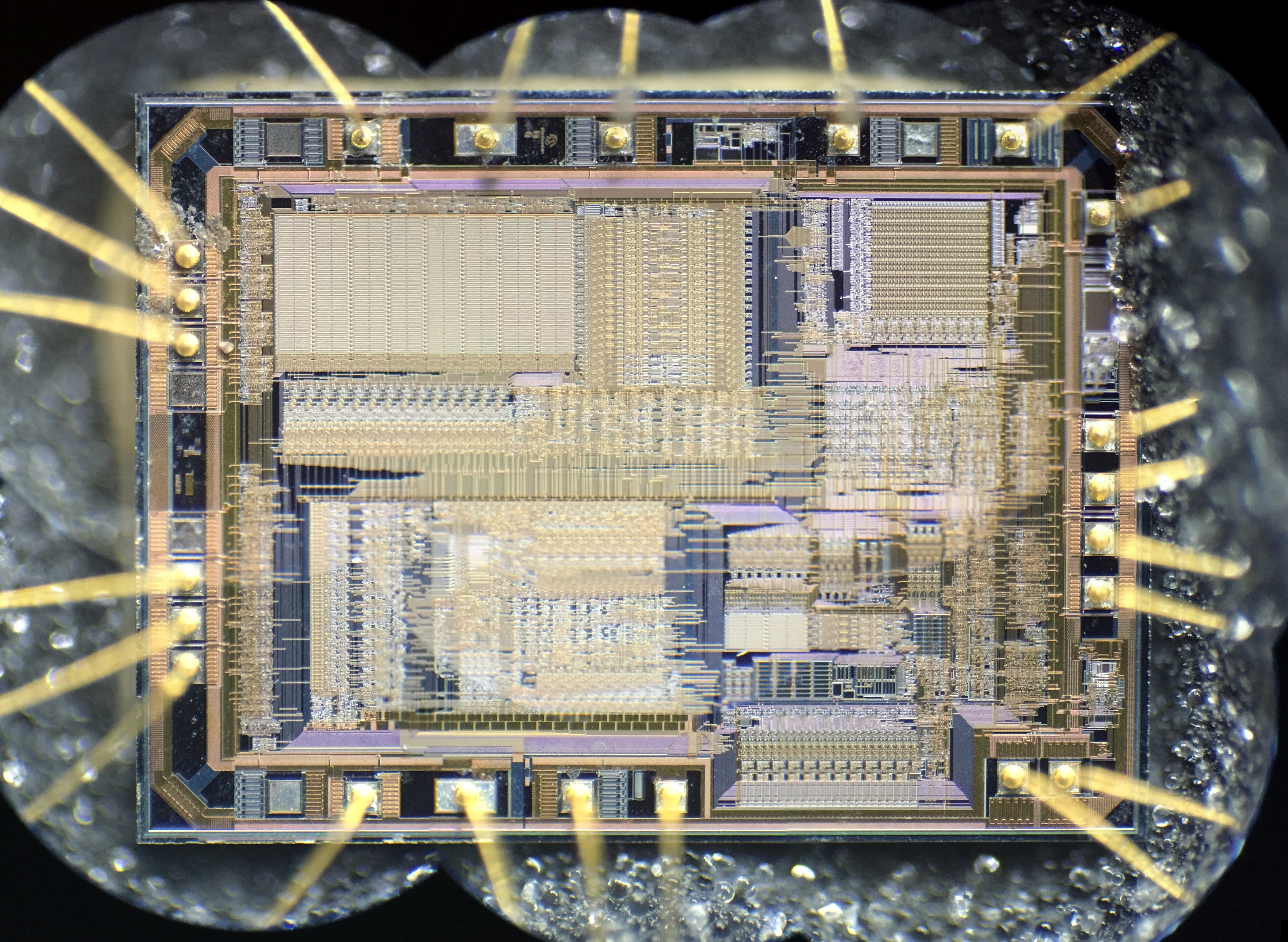 Micro: Composite image of PIC16f84