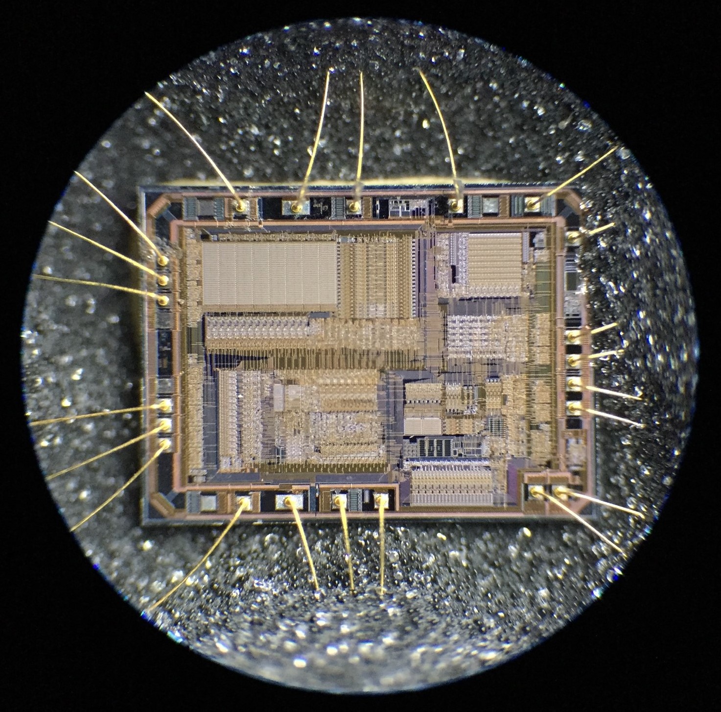 Micro: PIC16f84 after ultrasonic acetone method