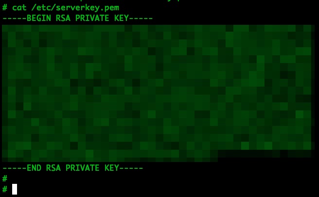 Blurred /etc/serverkey.pem